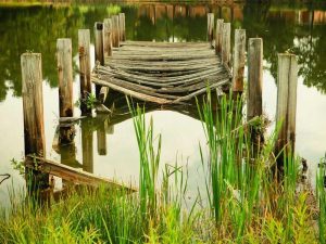 City Council Votes on Affordable Housing Initiative