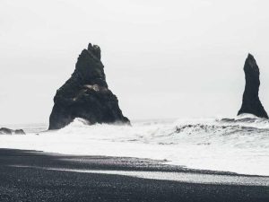 Community Garden Initiative Expands to New Neighborhoods