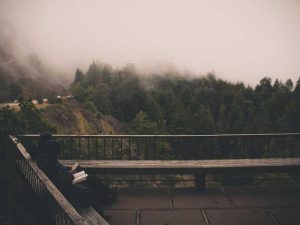 New Farm-to-Table Restaurant Opens in Inman Square