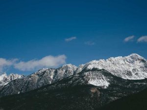 Restaurant Week Returns to Cambridge and Somerville